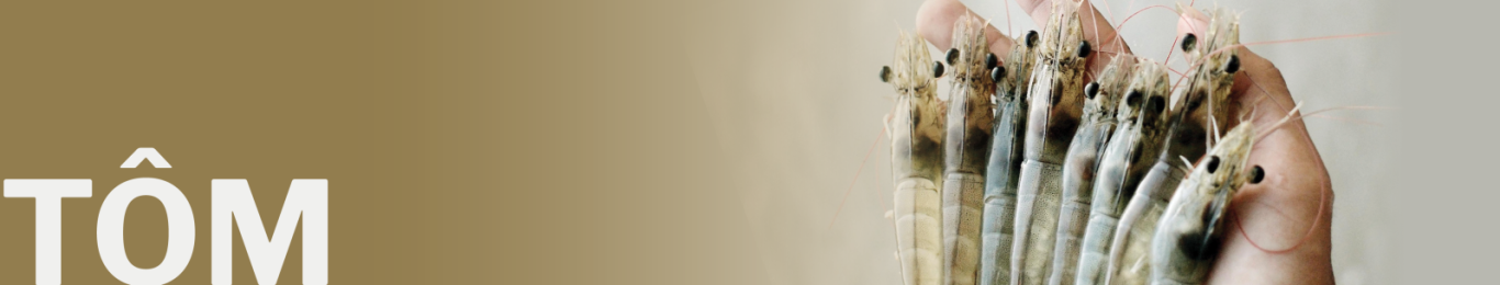 SAN PHAM CHO TOM