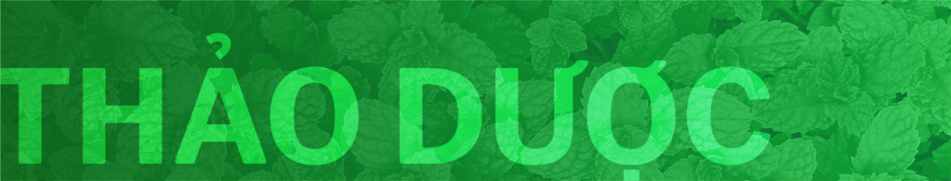 THẢO DƯỢC