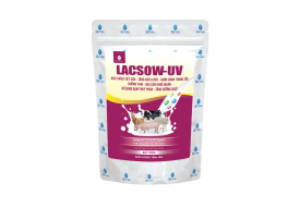 LACSOW-UV