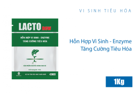 LACTO new (for fish)