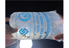 GIỐNG TÔM THẺ CHÂN TRẮNG | UV VIỆT NAM