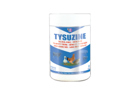 TYSUZINE