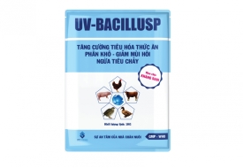 UV-BACILLUSP