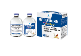 UV-CEFUROXIM