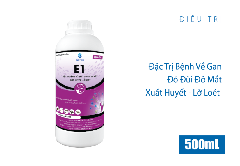 E1 đậm đặc